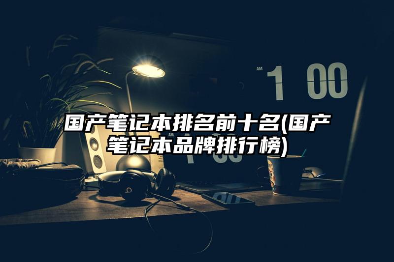 国产笔记本排名前十名(国产笔记本品牌排行榜)