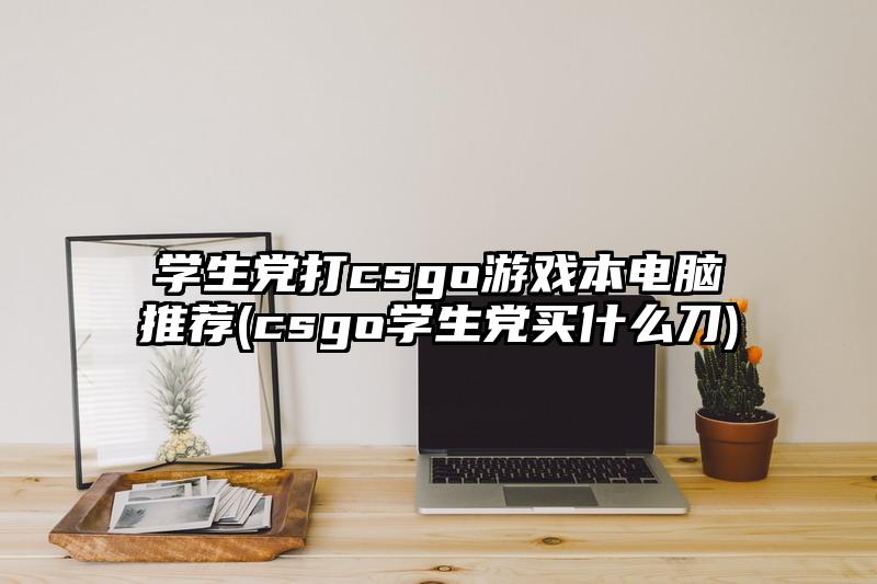 学生党打csgo游戏本电脑推荐(csgo学生党买什么刀)
