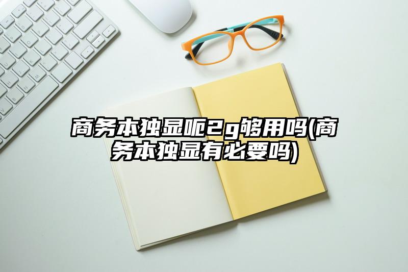 商务本独显呃2g够用吗(商务本独显有必要吗)