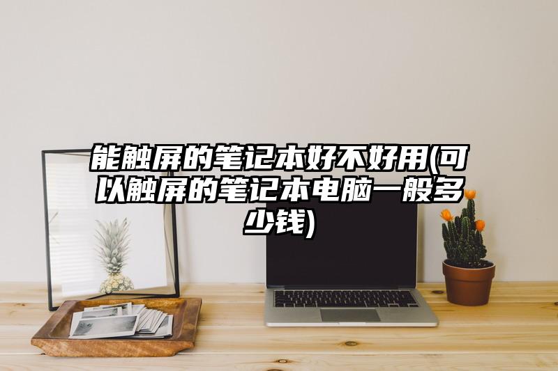 能触屏的笔记本好不好用(可以触屏的笔记本电脑一般多少钱)
