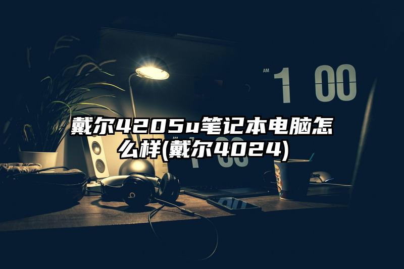 戴尔4205u笔记本电脑怎么样(戴尔4024)