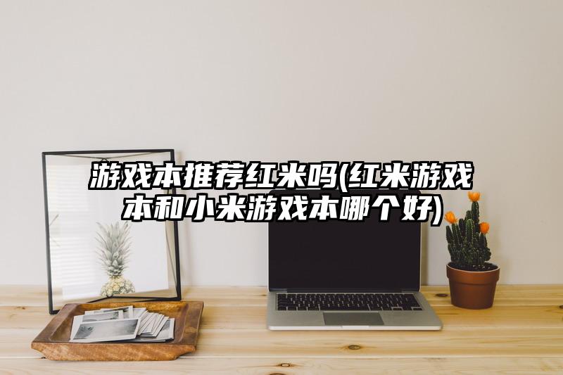 游戏本推荐红米吗(红米游戏本和小米游戏本哪个好)