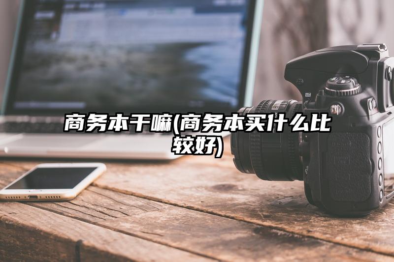 商务本干嘛(商务本买什么比较好)