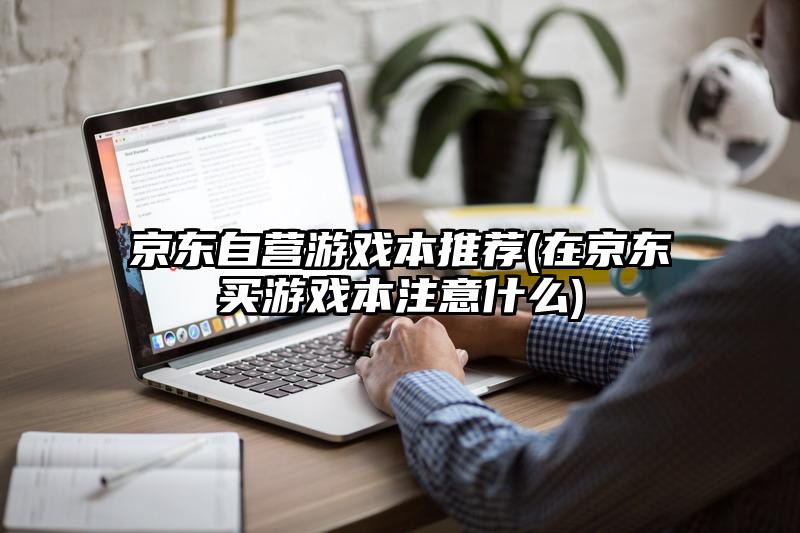 京东自营游戏本推荐(在京东买游戏本注意什么)