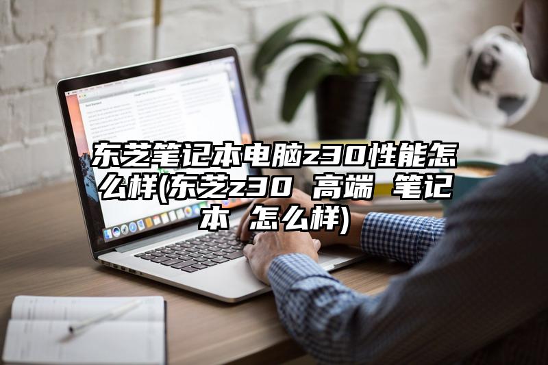 东芝笔记本电脑z30性能怎么样(东芝z30 高端 笔记本 怎么样)