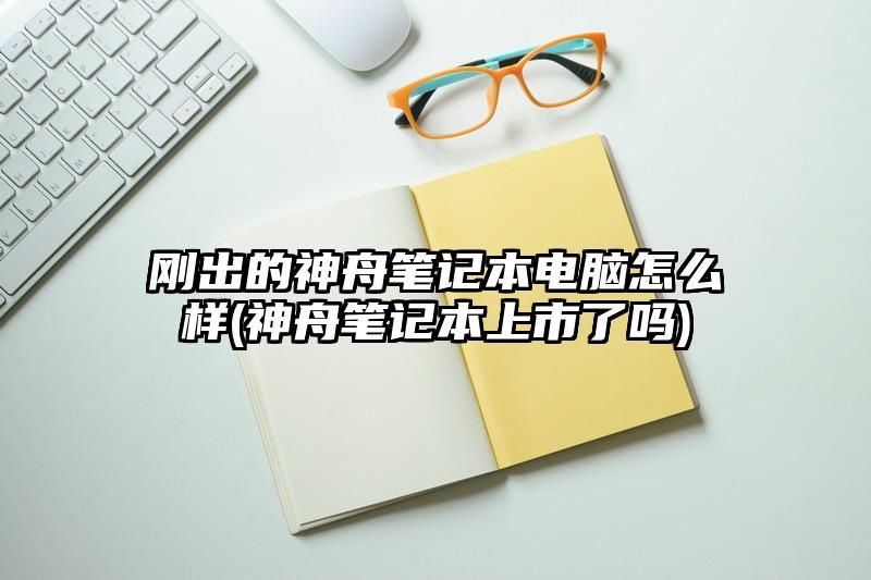 刚出的神舟笔记本电脑怎么样(神舟笔记本上市了吗)