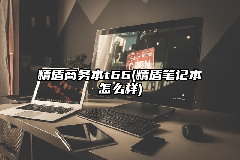 精盾商务本t66(精盾笔记本怎么样)