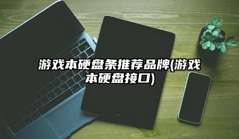 游戏本硬盘条推荐品牌(游戏本硬盘接口)