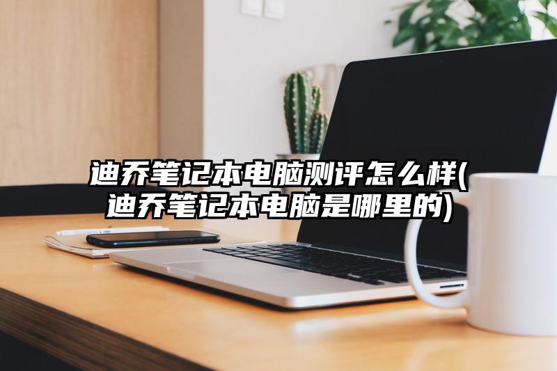 迪乔笔记本电脑测评怎么样(迪乔笔记本电脑是哪里的)