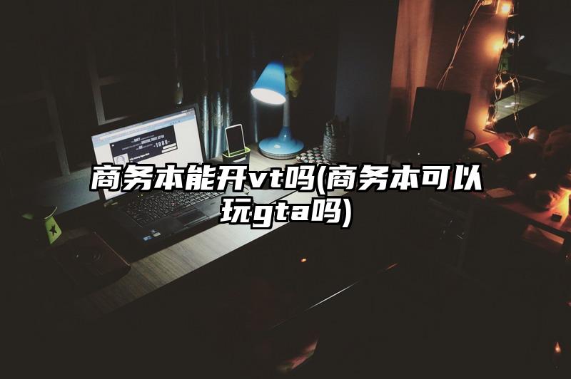 商务本能开vt吗(商务本可以玩gta吗)