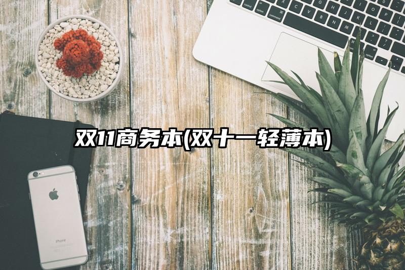 双11商务本(双十一轻薄本)