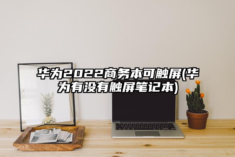 华为2022商务本可触屏(华为有没有触屏笔记本)