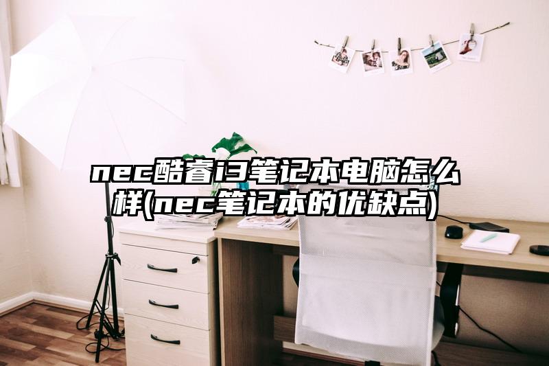 nec酷睿i3笔记本电脑怎么样(nec笔记本的优缺点)
