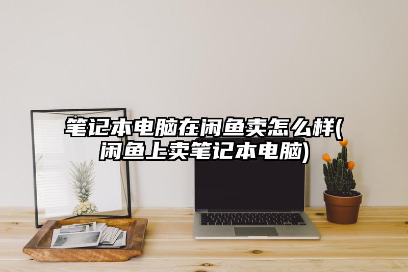 笔记本电脑在闲鱼卖怎么样(闲鱼上卖笔记本电脑)