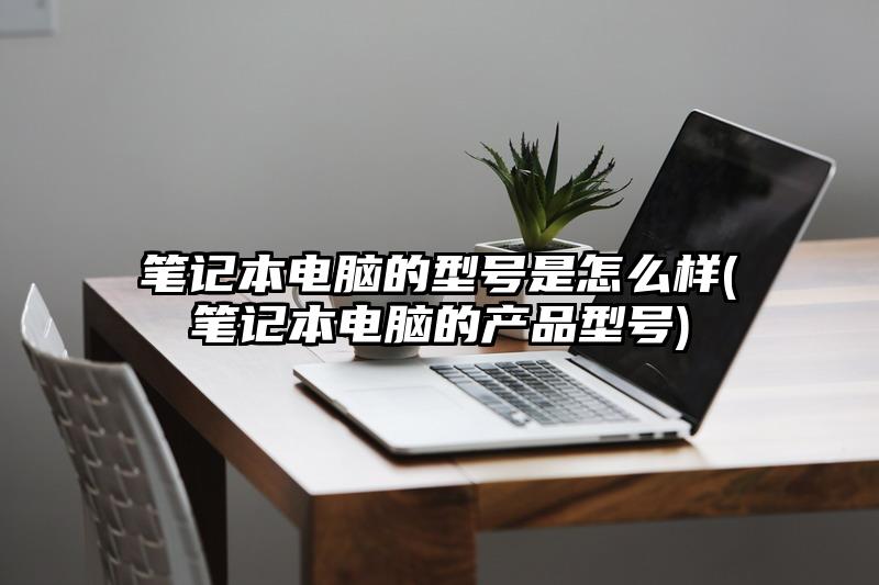 笔记本电脑的型号是怎么样(笔记本电脑的产品型号)