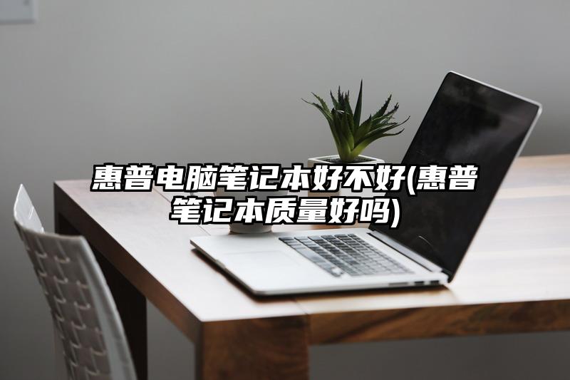 惠普电脑笔记本好不好(惠普笔记本质量好吗)