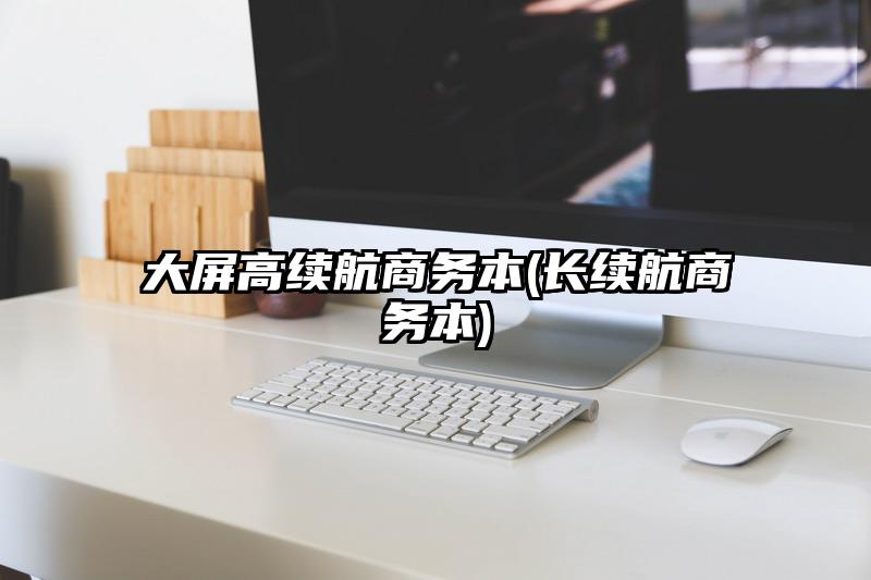 大屏高续航商务本(长续航商务本)