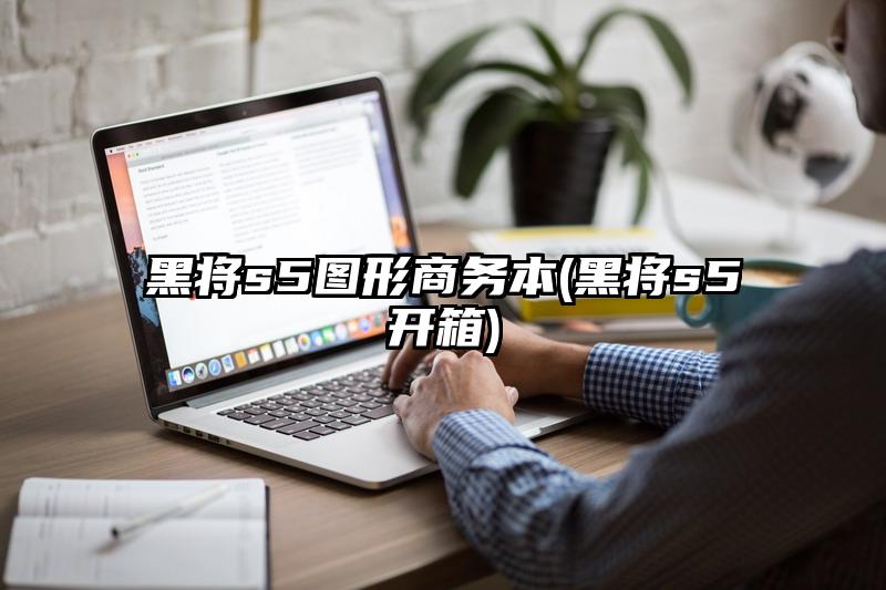 黑将s5图形商务本(黑将s5开箱)