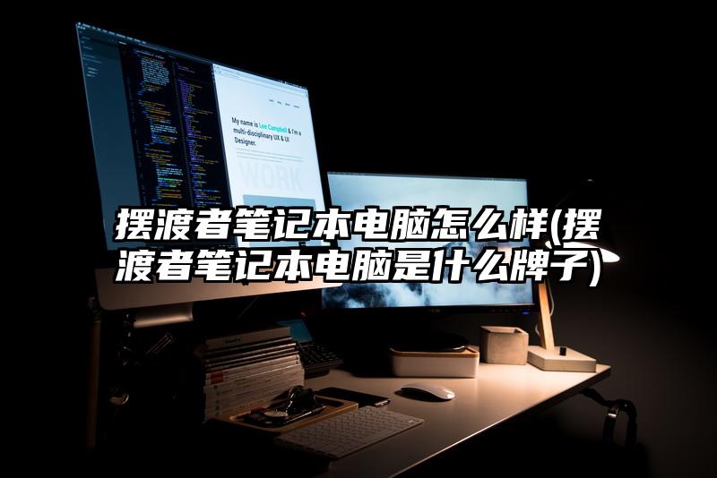 摆渡者笔记本电脑怎么样(摆渡者笔记本电脑是什么牌子)