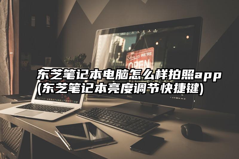 东芝笔记本电脑怎么样拍照app(东芝笔记本亮度调节快捷键)