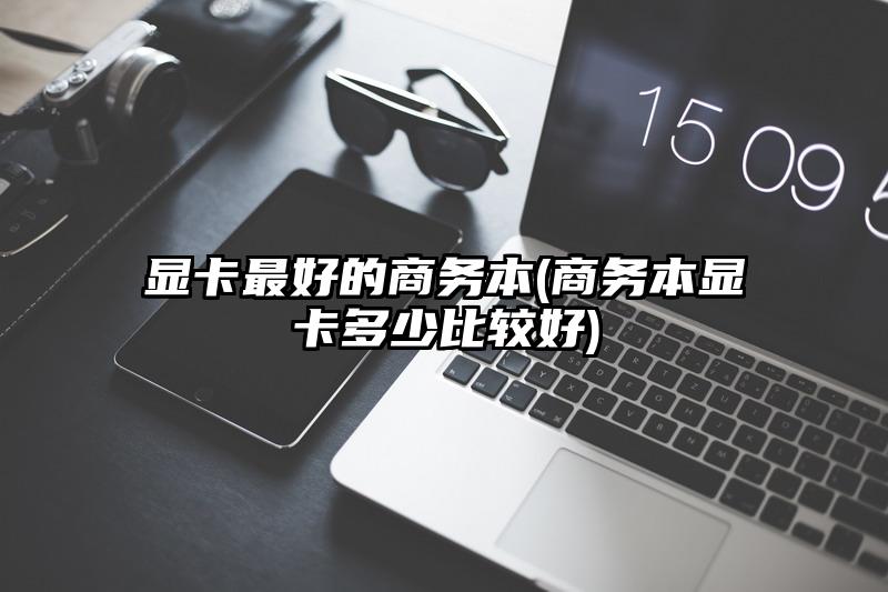 显卡最好的商务本(商务本显卡多少比较好)