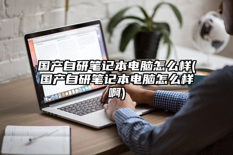 国产自研笔记本电脑怎么样(国产自研笔记本电脑怎么样啊)