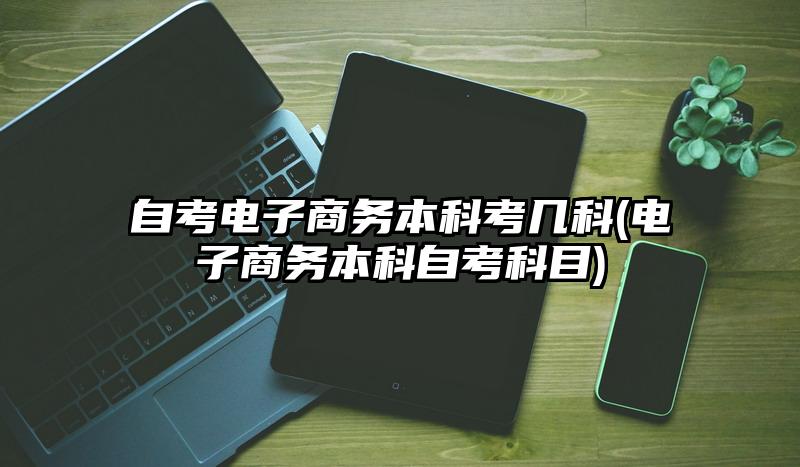 自考电子商务本科考几科(电子商务本科自考科目)