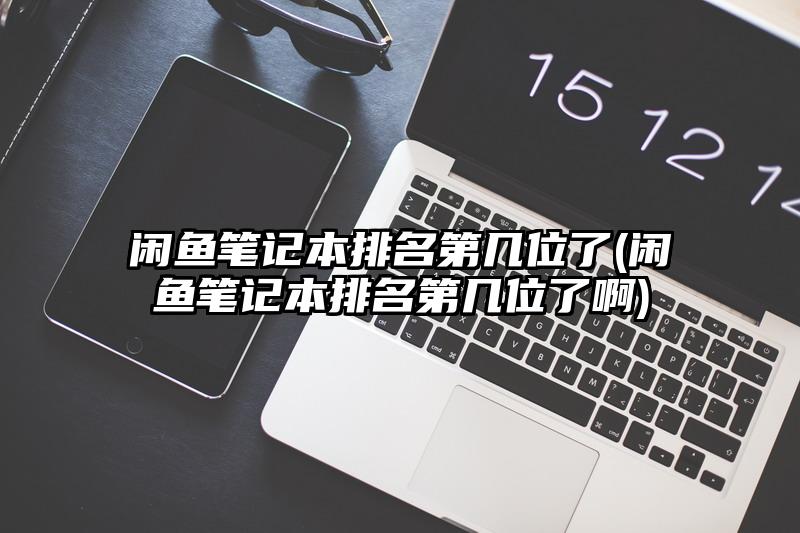 闲鱼笔记本排名第几位了(闲鱼笔记本排名第几位了啊)